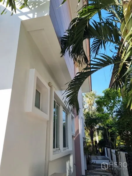 บ้าน ขายในChatuchak, Bangkok - ด้านข้างบ้านเดี่ยว ผนังสีขาว รายล้อมด้วยต้นปาล์ม