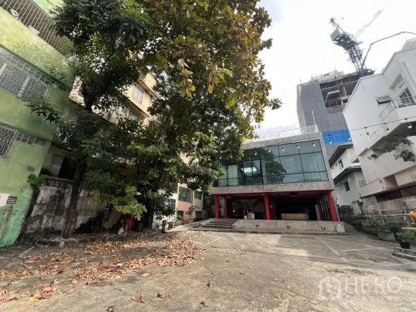 独立商业地产 出租在Din Daeng, Bangkok - 玻璃立面独栋商业楼的前院与车道及大树。