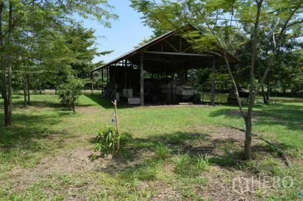 Land for sale in Khlong Luang, Pathum Thani - Storage pavilion on a concrete slab in a green field.