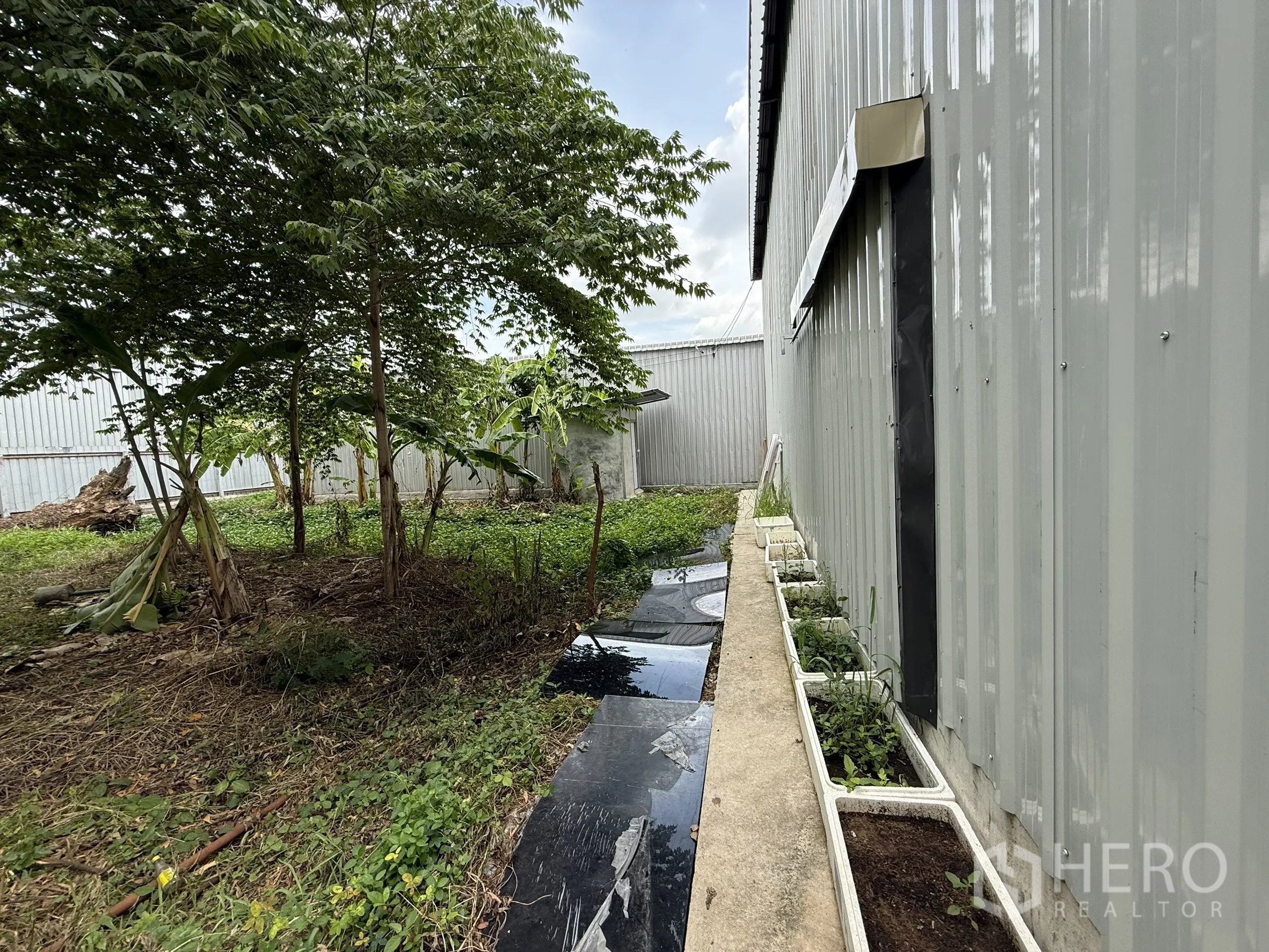 Warehouse for rent in Wang Thonglang, Bangkok - Narrow side yard with planters along the warehouse wall.