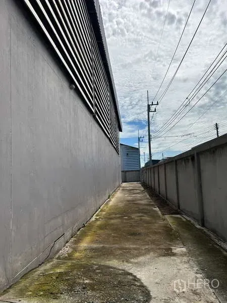 คลังสินค้า ขายในLat Lum Kaeo, Pathum Thani - ซอยบริการข้างโกดัง มีรั้วรอบ ไฟฟ้า และทางเข้าออกประตูรั้ว