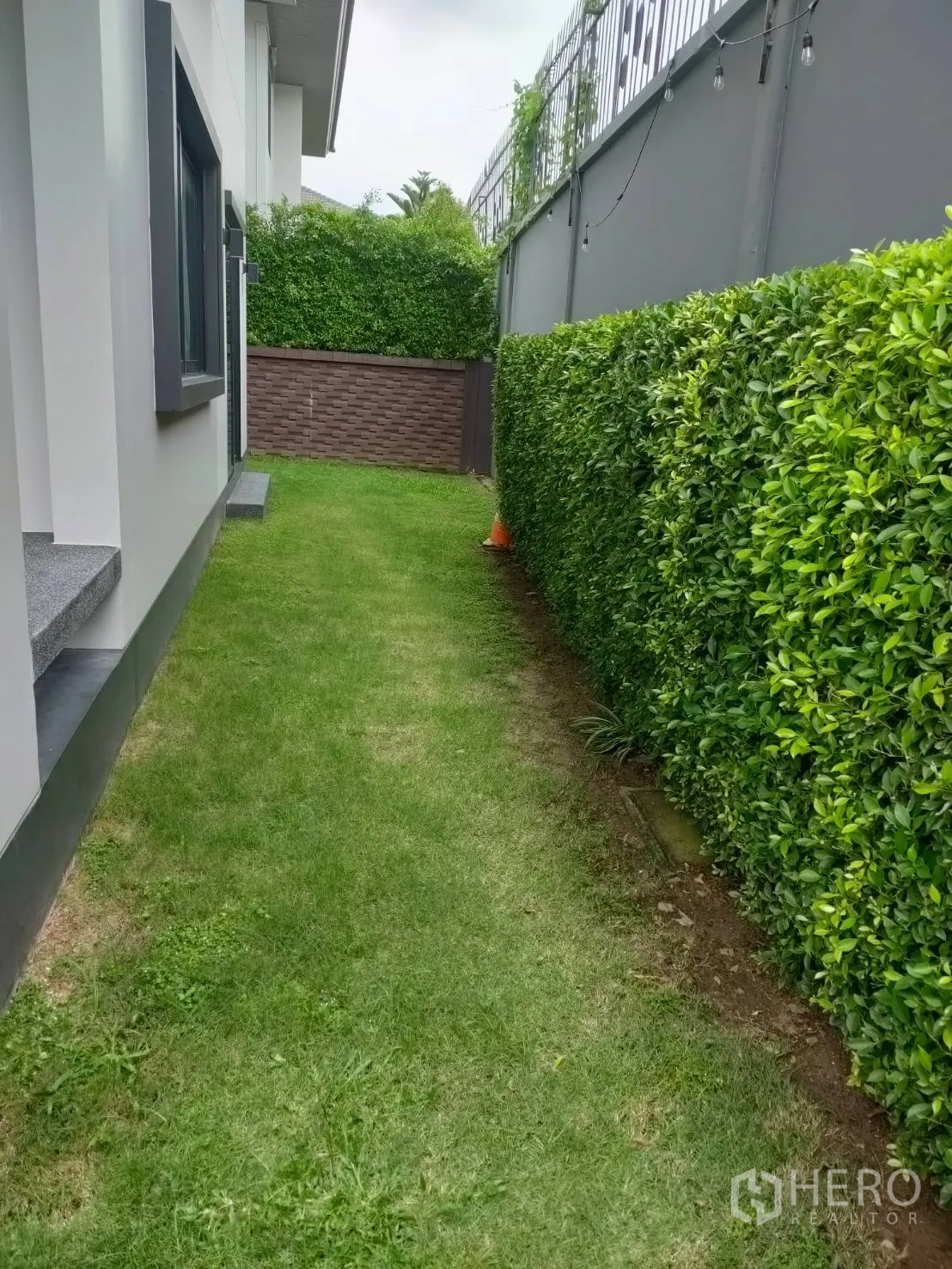 บ้าน ให้เช่าหรือขายในLam Luk Ka, Pathum Thani - สนามหญ้าข้างบ้านริมแนวพุ่มตัดแต่งเรียบร้อย