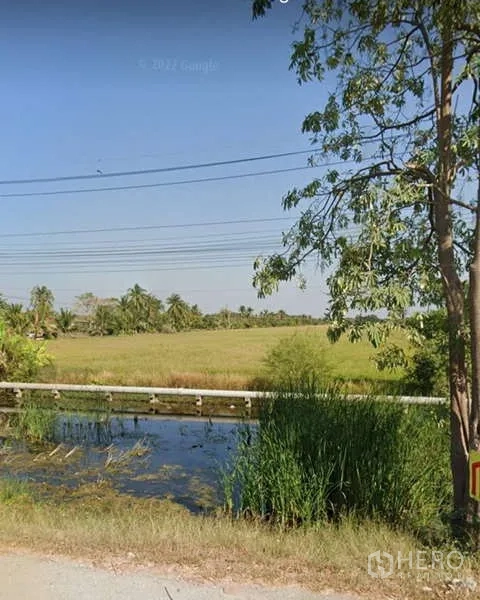 Land for sale in Bang Bua Thong, Nonthaburi - Canal beside the property with grasses and power lines overlooking rice fields.