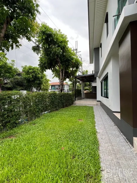Detached House for rent in Bang Kapi, Bangkok - Side garden with green lawn, hedge and mature trees.