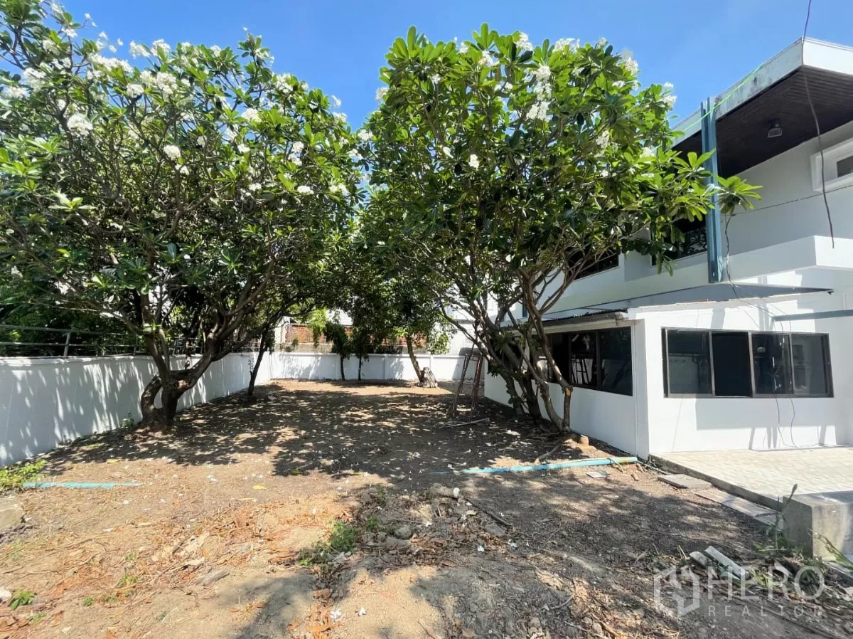 带办公室的家 出租在Din Daeng, Bangkok - 房屋侧院的大花园，成熟绿树与围墙环绕。