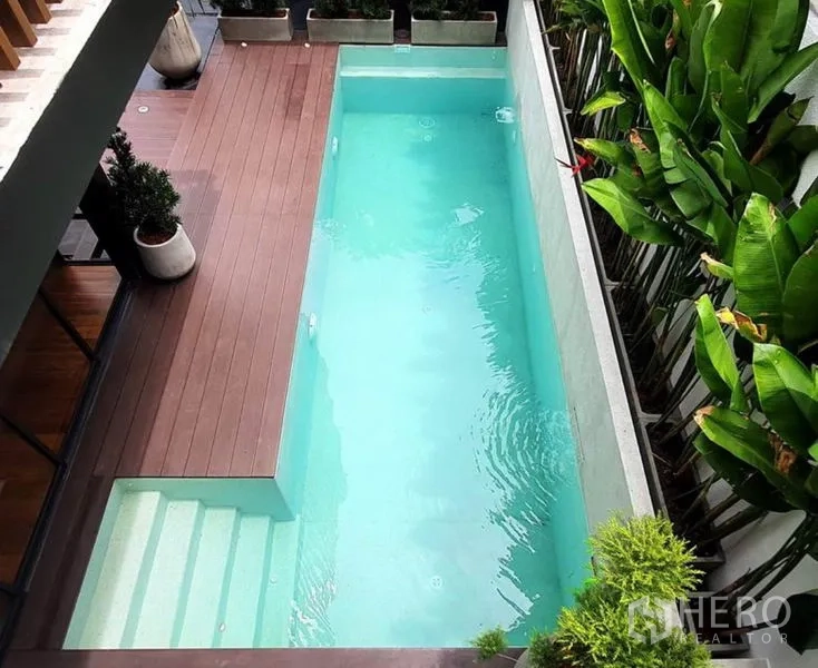 Home Office for rent or sale in Khlong Toei, Bangkok - Top-down view of a narrow turquoise lap pool with entry steps and timber deck bordered by plants.