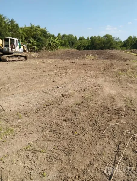 Land for sale in Bang Pakong, Chachoengsao - Cleared, leveled plot bordered by trees with an excavator on the left under a clear sky.