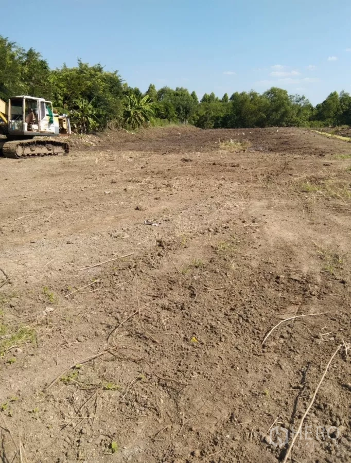 Land for sale in Bang Pakong, Chachoengsao - Cleared, leveled plot bordered by trees with an excavator on the left under a clear sky.
