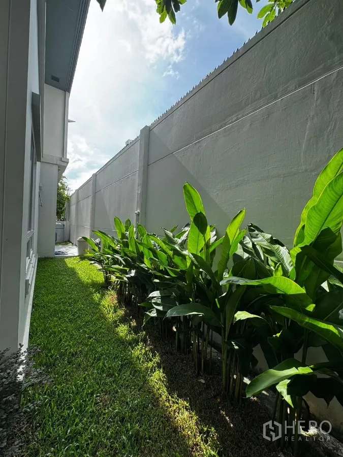 บ้าน ให้เช่าในPrawet, Bangkok - แถบสวนแคบปลูกไม้ใบเขตร้อนตลอดกำแพงสูงให้ความเป็นส่วนตัว.