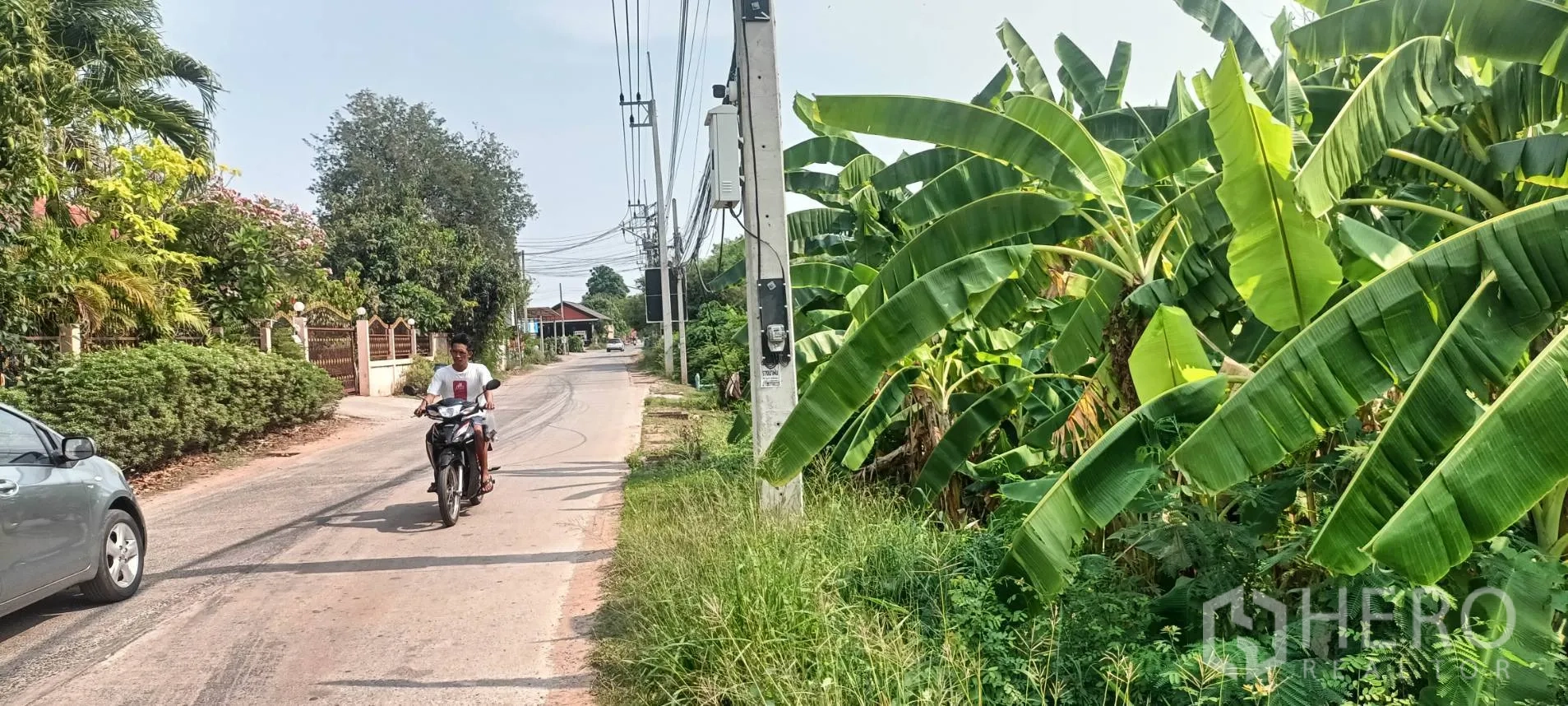 Land for sale in Mueang Nakhon Ratchasima, Nakhon Ratchasima - Paved local road with utility poles beside a lush banana grove in Nong Krathum, Mueang Nakhon Ratchasima.
