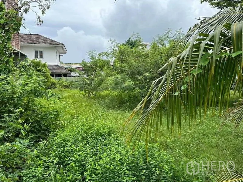 ที่ดิน ขายในKhlong Toei, Bangkok - ที่ดินปกคลุมด้วยต้นไม้และหญ้า มีใบมะพร้าวด้านหน้าและบ้านพักใกล้เคียง เหมาะพัฒนาเป็นที่อยู่อาศัย