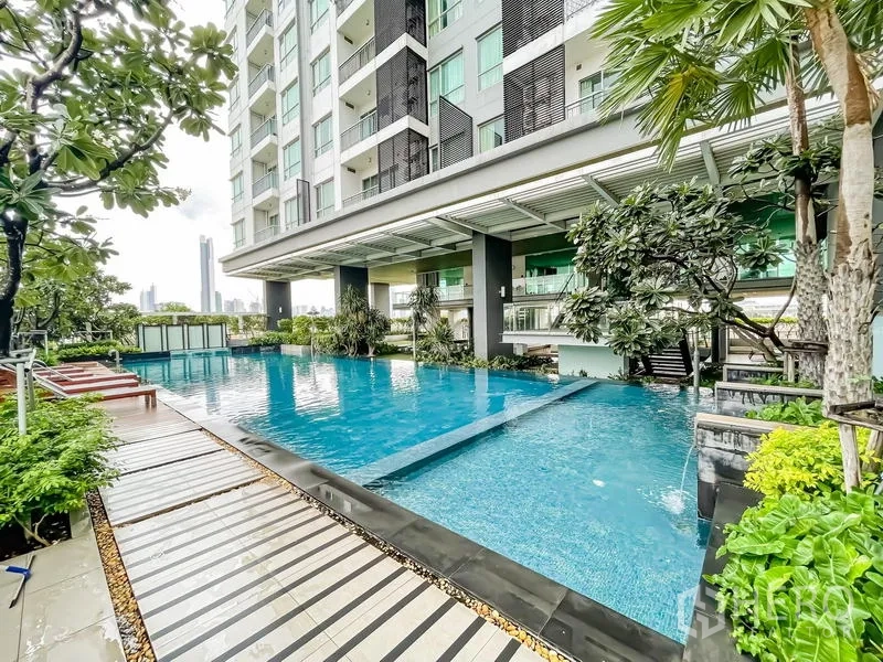 คอนโด ขาย - สระว่ายน้ำส่วนกลางของคอนโด รายล้อมด้วยต้นไม้และเตียงอาบแดด
