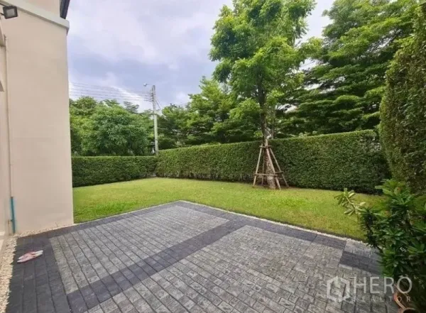 บ้าน ให้เช่าหรือขายในLat Krabang, Bangkok - สวนด้านข้างมีลานปูกระเบื้อง รั้วพุ่มไม้และต้นไม้ ให้ความเป็นส่วนตัว