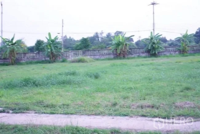 โรงงาน ขายในPhanat Nikhom, Chon Buri - สนามหญ้าพร้อมต้นกล้วยเรียงตามกำแพงคอนกรีต