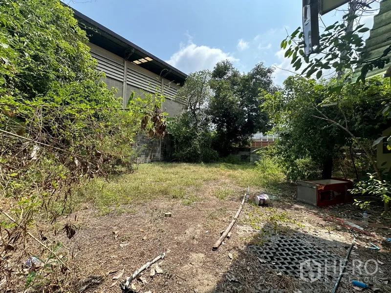 Detached House for rent in Watthana, Bangkok - Side garden with grass and trees along a boundary wall.
