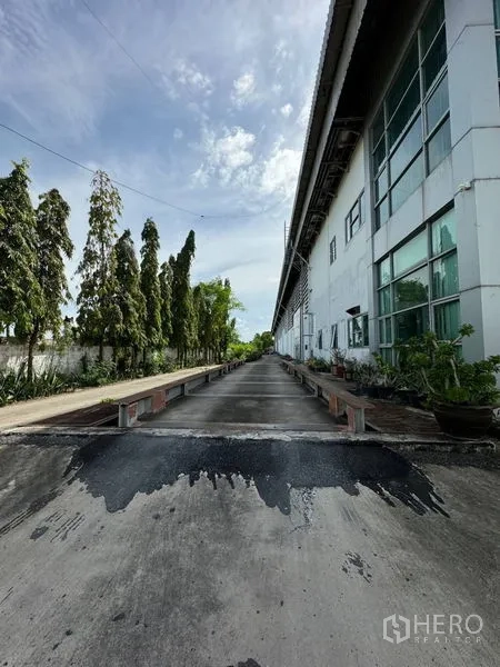 คลังสินค้า ให้เช่าในBang Phli, Samut Prakan - ถนนลำเลียงยาวข้างโกดัง มีทางลาดท่าขนถ่ายสินค้าและแนวต้นไม้