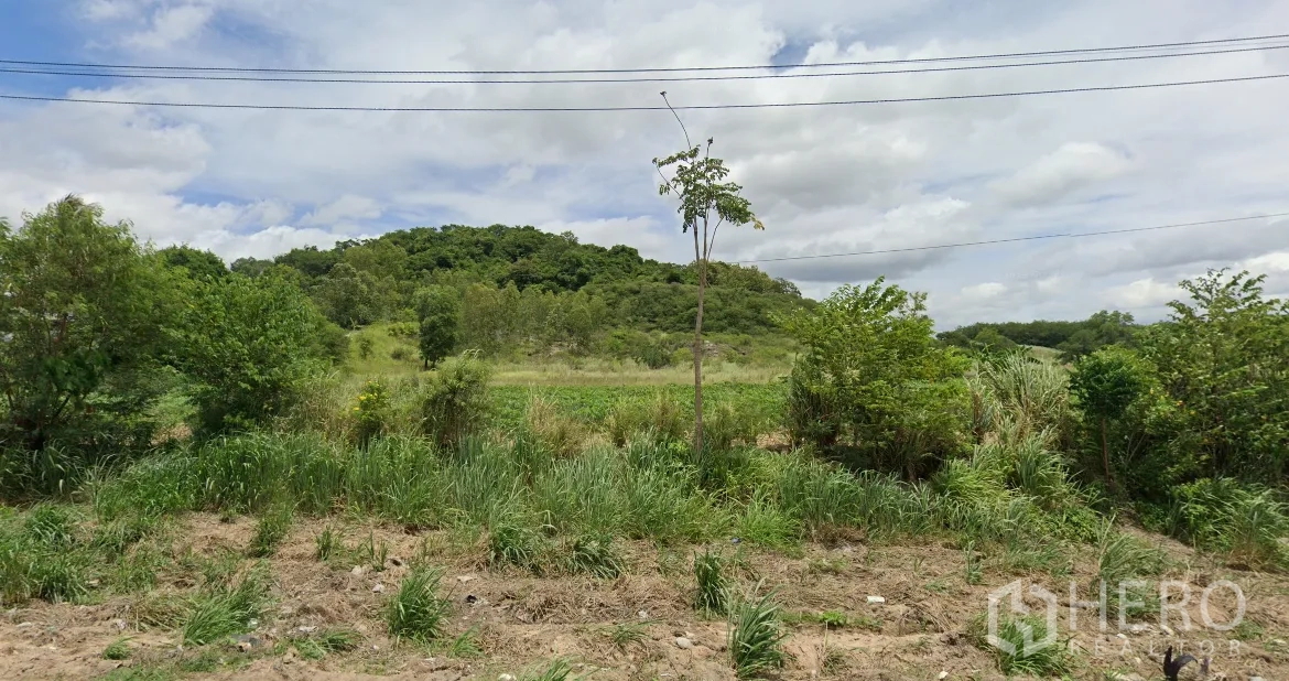 Land for sale in Si Racha, Chon Buri - Roadside view of green field and hill with overhead power lines on the edge of the Si Racha plot.