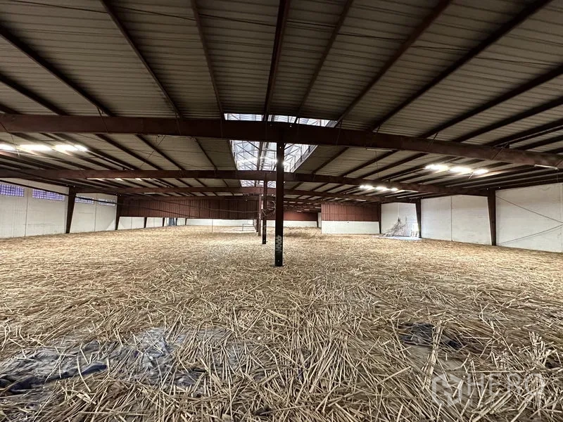 Warehouse for rent in Samut Prakan - Open mezzanine-style storage area beneath steel beams with unobstructed floor space and central roof skylight.