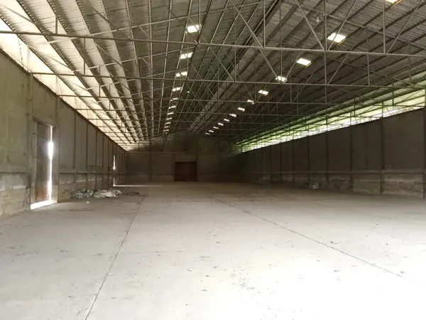 货栈 出租在Pathum Thani - 高钢架屋顶的宽敞仓库内部，混凝土地面与采光带。