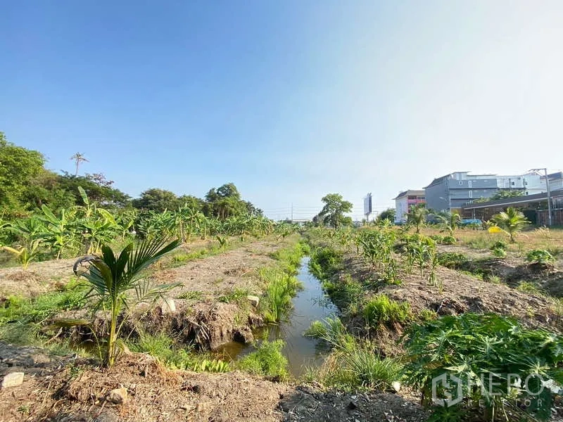 Land for sale in Bang Khae, Bangkok - Long view of drainage canal between planting beds with nearby low-rise buildings.