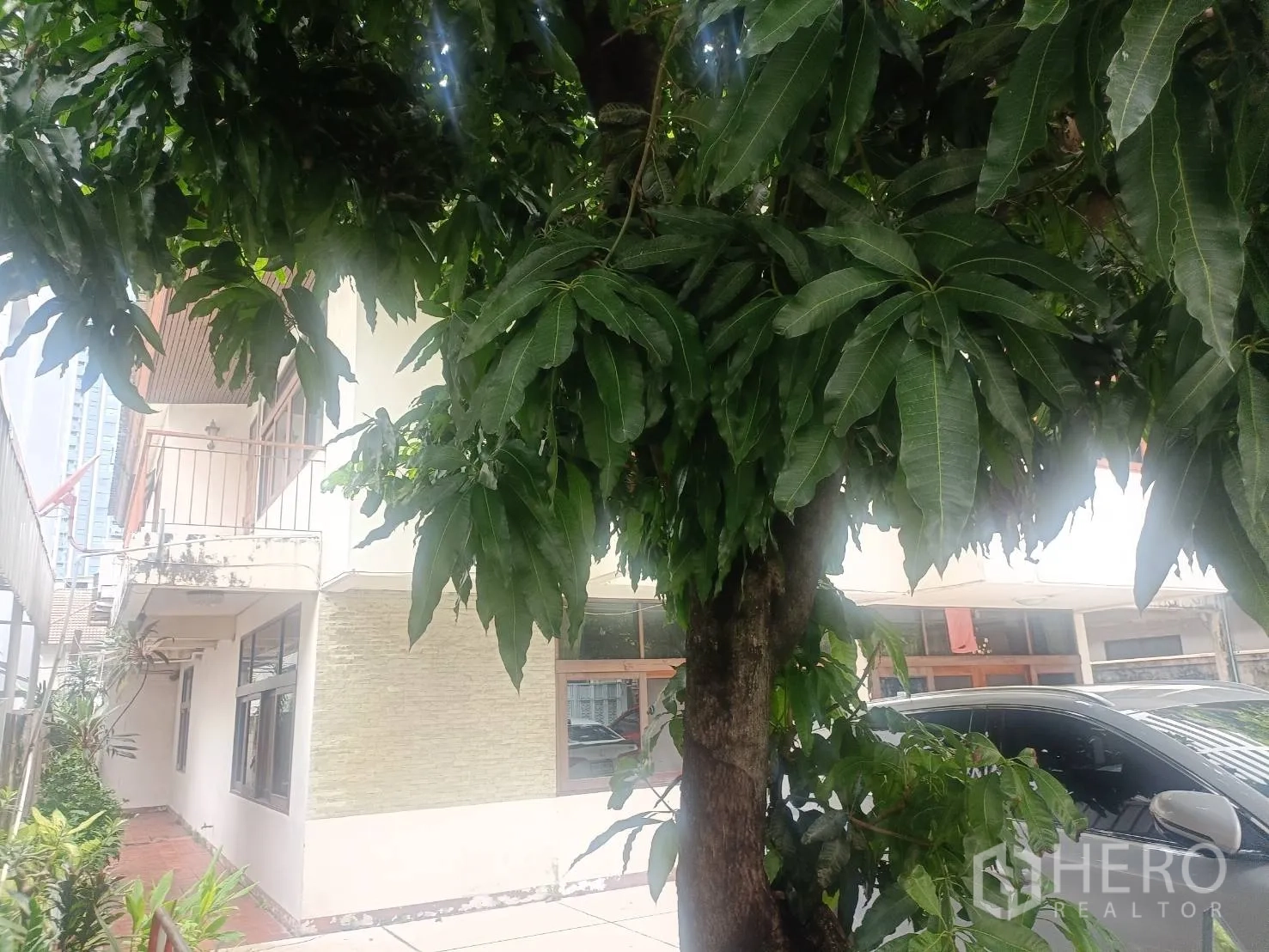 Detached House for rent in Bang Rak, Bangkok - Side view of the detached house with mature tree canopy, balcony and corner windows.