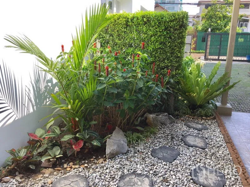 Detached House for rent in Khlong Toei, Bangkok - Pebbled walkway with stepping stones and lush tropical plants beside a white wall.
