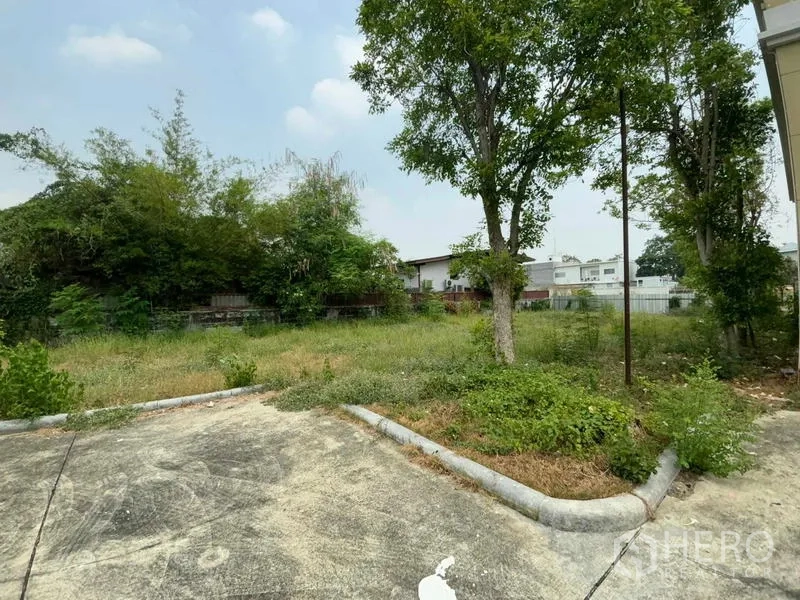 带办公室的家 出租在Bang Na, Bangkok - 宽敞的侧院与成树及混凝土车道，可提供更多停车位。