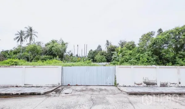 ที่ดิน ขายในBang Bon, Bangkok - ประตูเหล็กเมทัลชีทบนกำแพงสีขาวหันหน้าเข้าถนน เปิดสู่พื้นที่สีเขียวภายในแปลง