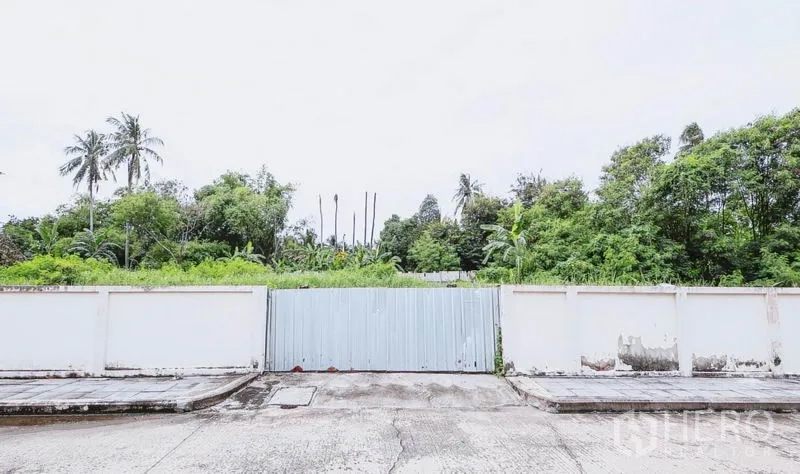 ที่ดิน ขายในBang Bon, Bangkok - ประตูเหล็กเมทัลชีทบนกำแพงสีขาวหันหน้าเข้าถนน เปิดสู่พื้นที่สีเขียวภายในแปลง