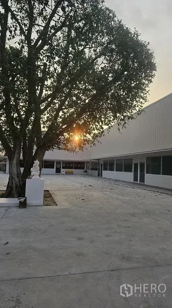 สำนักงาน ให้เช่าในBang Phli, Samut Prakan - คอร์ตยาร์ดระหว่างอาคารสำนักงานชั้นเดียวสองฝั่ง มีต้นไม้ใหญ่และแสงอาทิตย์ยามเย็น