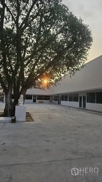 สำนักงาน ให้เช่าในBang Phli, Samut Prakan - คอร์ตยาร์ดระหว่างอาคารสำนักงานชั้นเดียวสองฝั่ง มีต้นไม้ใหญ่และแสงอาทิตย์ยามเย็น