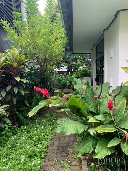 บ้าน ให้เช่าในKhlong Toei, Bangkok - สวนร่มรื่นข้างบ้าน ทางเดินอิฐท่ามกลางไม้ประดับเขตร้อน