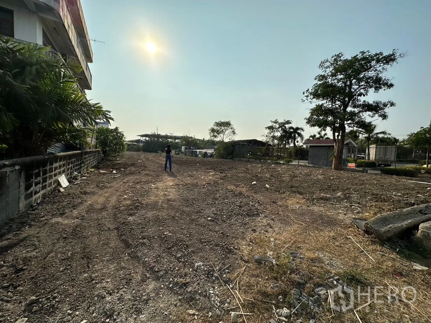 Land for sale in Mueang Samut Prakan, Samut Prakan - Wide vacant plot with compacted soil, roadside entrance, and mature tree along the edge.