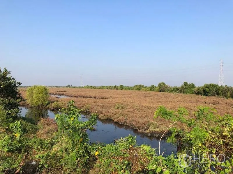 Land for sale in Mueang Samut Sakhon, Samut Sakhon - Expansive Samut Sakhon land with natural canal, open fields and distant power pylons under a clear blue sky.