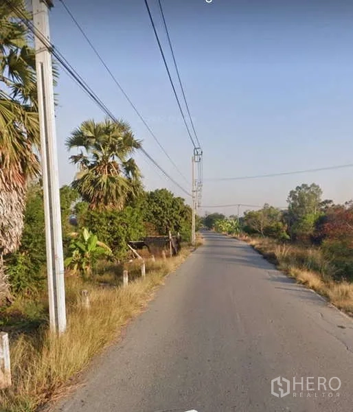Land for sale in Bang Bua Thong, Nonthaburi - Narrow paved road with palm trees and overhead power lines near the land.
