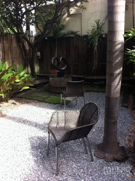 Detached House for rent in Wang Thonglang, Bangkok - Private gravel garden with wicker chairs, palm trees and a tall wooden fence.