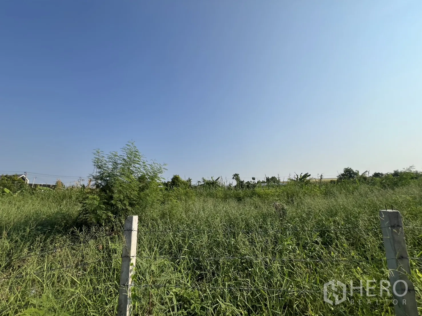 Land for sale in Lat Krabang, Bangkok - Open field with fencing posts and tall grass under a wide sky.