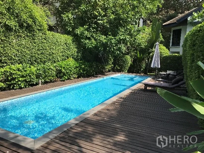 Detached House for rent in Khlong Toei, Bangkok - Private lap pool with wooden deck, sun loungers, and lush hedges in a secluded garden.