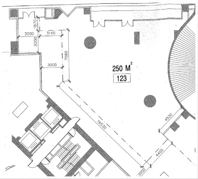 零售空间 出租 - 250㎡商铺平面图，标注尺寸、柱位与潜在出入口。
