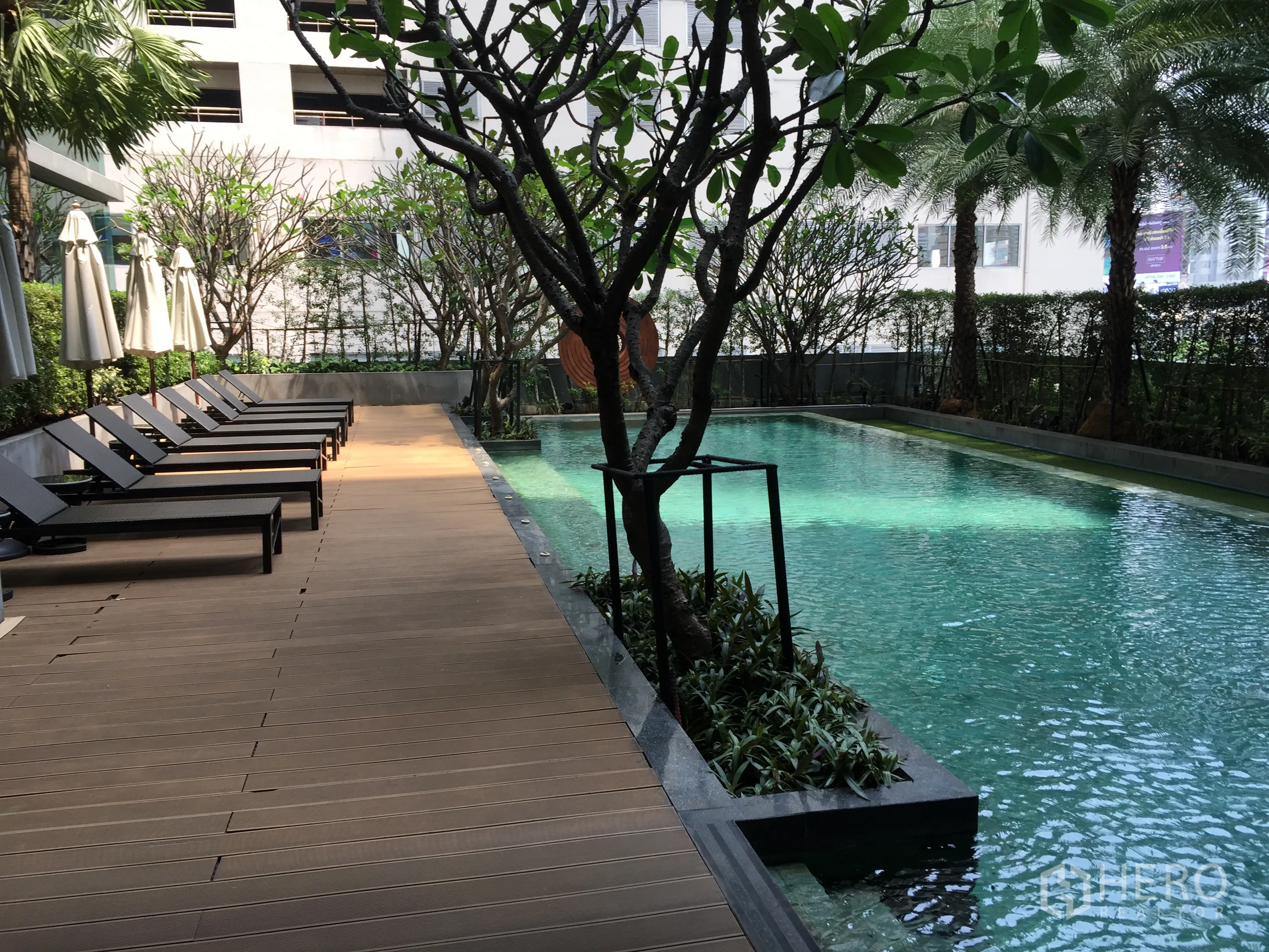 คอนโด ให้เช่าหรือขายในWatthana, Bangkok - สระว่ายน้ำกลางแจ้ง ทางเดินไม้ เก้าอี้อาบแดด และต้นไม้ทรอปิคอล