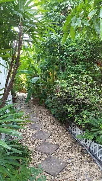 บ้าน ขายในMueang Nonthaburi, Nonthaburi - ทางเดินโรยกรวดพร้อมแผ่นทางเดิน ล้อมด้วยสวนทรอปิคอลหนาทึบ