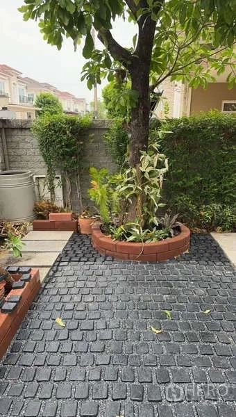 Detached House for rent in Bueng Kum, Bangkok - Small landscaped garden with a tree and brick-edged planter on a paver patio.