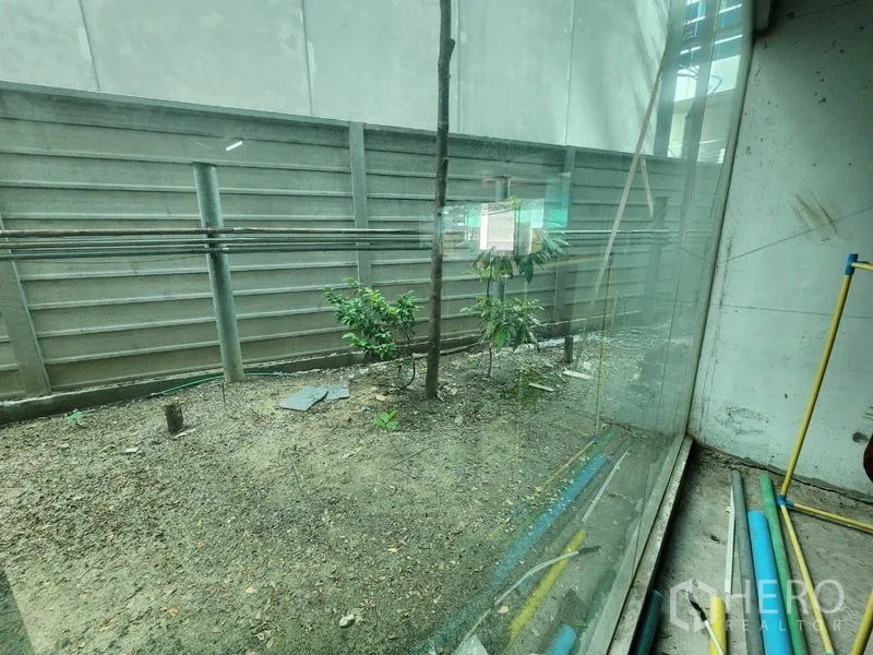 Retail Space for rent - Small courtyard behind floor-to-ceiling glazing with soil bed and young plants.