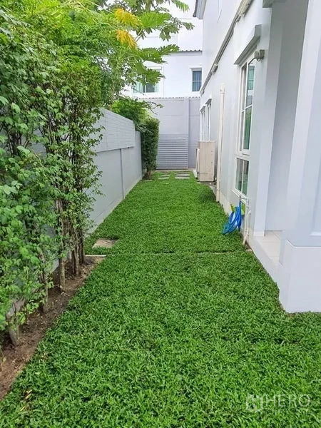 Detached House for rent - Side yard lawn bordered by hedges next to the house.