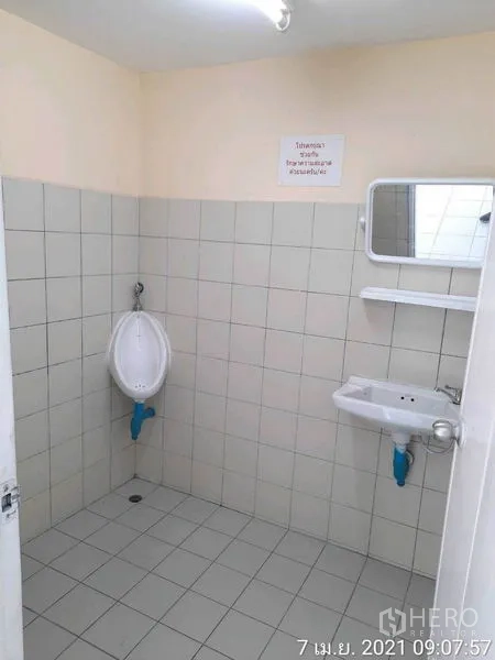 โรงงาน ให้เช่าในBang Bua Thong, Nonthaburi - ห้องน้ำสะอาด ปูกระเบื้อง มีโถปัสสาวะ อ่างล้างมือ และกระจก