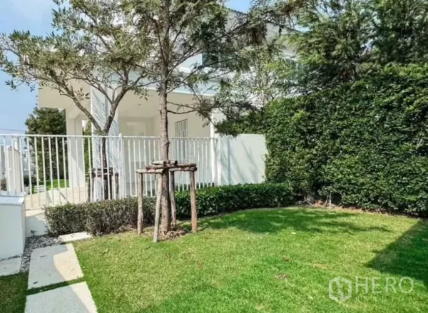 Detached House for rent in Bang Phli, Samut Prakan - Backyard grass area bordered by tall hedges and a white fence.
