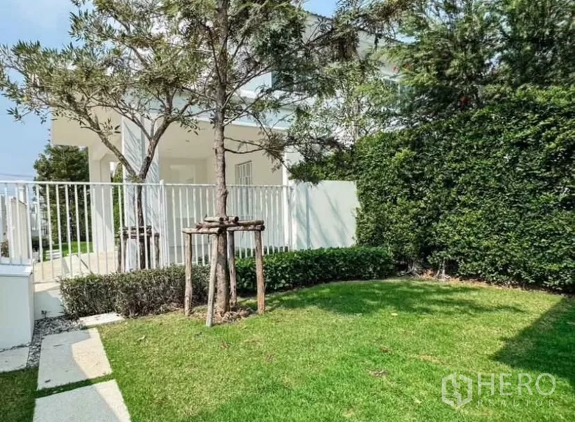 Detached House for rent in Bang Phli, Samut Prakan - Backyard grass area bordered by tall hedges and a white fence.