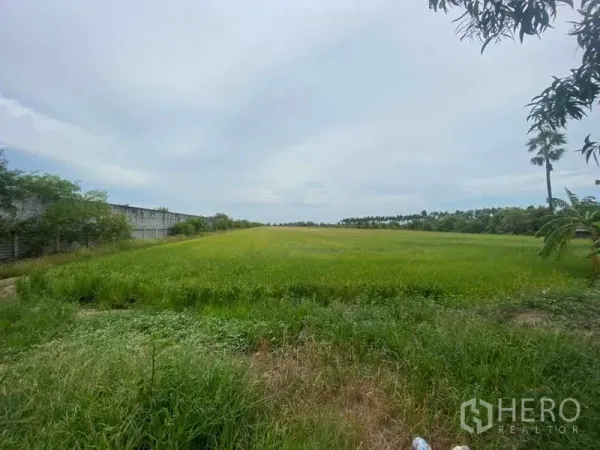 Land for sale in Bang Bua Thong, Nonthaburi - Expansive green field plot with boundary wall and trees under a cloudy sky in Sai Noi, Nonthaburi.