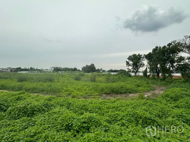 ที่ดิน ขายในSai Mai, Bangkok - แปลงที่ดินกรีนฟิลด์โล่ง มีพุ่มหญ้า ทางดิน และต้นไม้ใต้ท้องฟ้ามีเมฆ ในเขตสายไหม