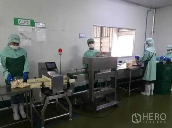 Factory for sale in Khlong Luang, Pathum Thani - Food-grade packaging line with conveyor and inspection equipment inside a hygienic room.